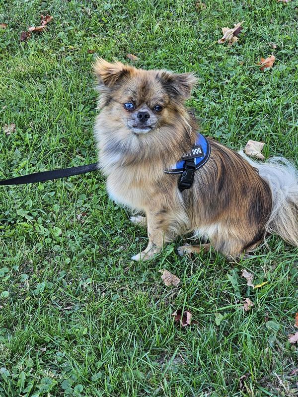 shared image https://branchesoflifetherapy.ca/wp-content/uploads/2025/11/shared-image.jpg