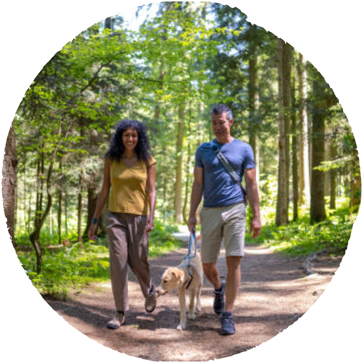 NatureWalk https://branchesoflifetherapy.ca/wp-content/uploads/2025/12/NatureWalk.jpg